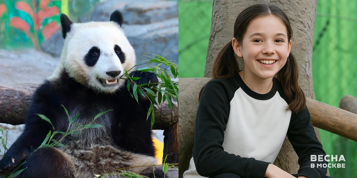 Панда — девочка и человек: удивительное сходство животных с людьми. Фото © T.me / Весна в Москве