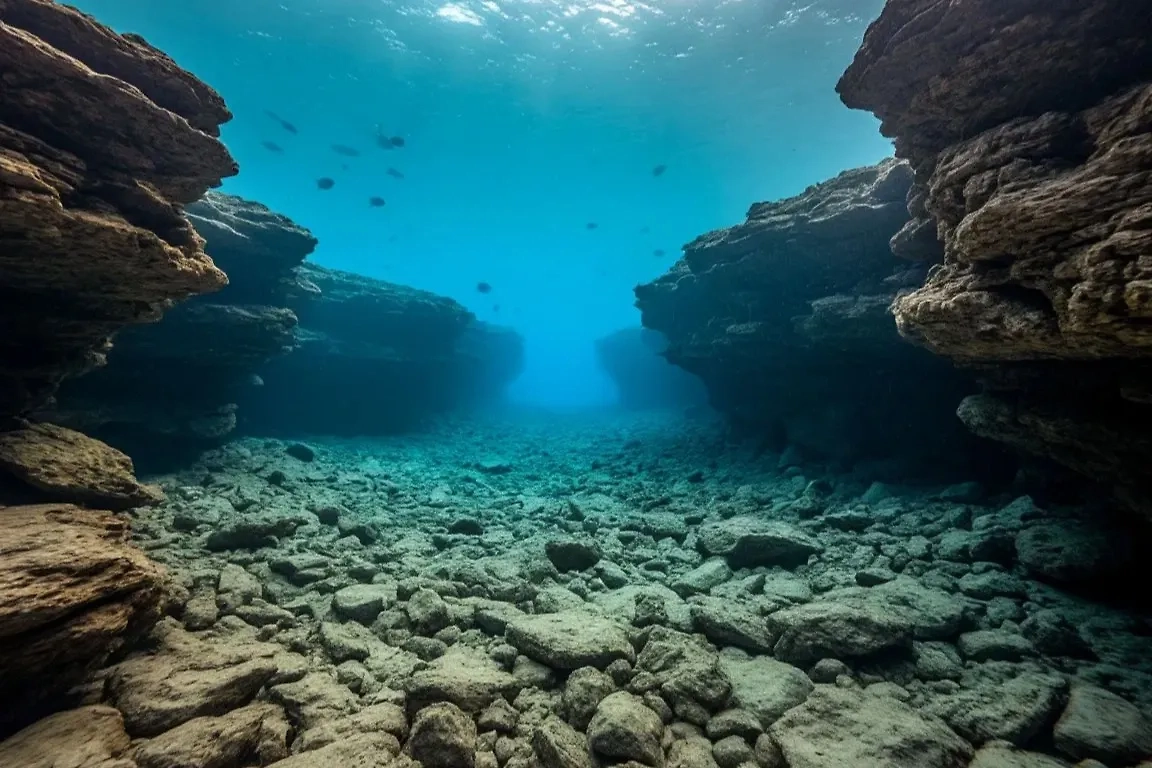 Шотландские учёные время зря не теряли! Они прошерстили всё атлантическое дно... Фото © «Шедеврум» 