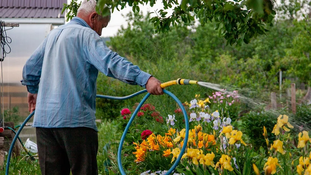Ритуалы и заговоры для усиления магических свойств садовых растений. Фото © ТАСС / Оксана Король