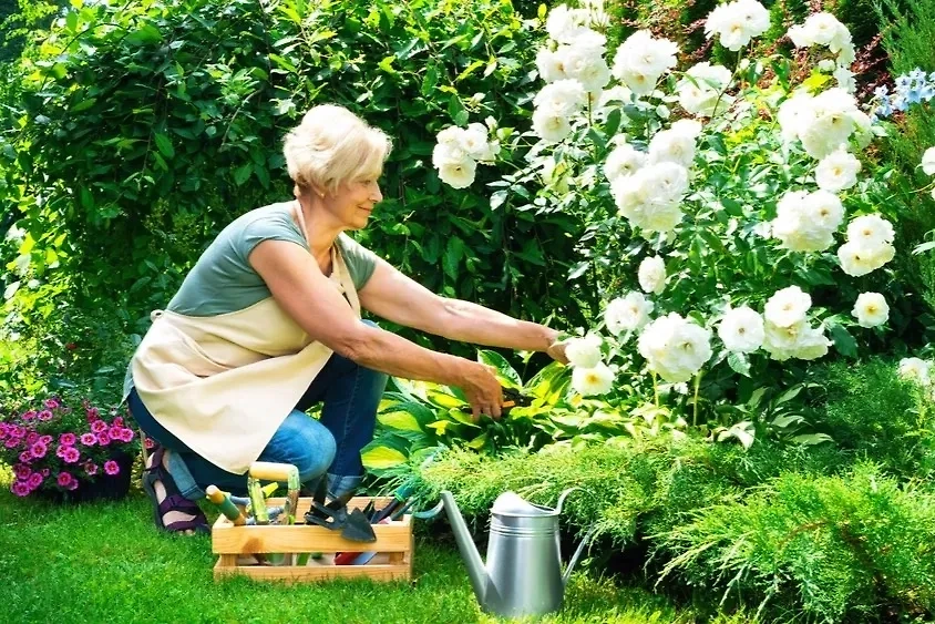 Неожиданные находки на даче и их влияние на материальное положение. Фото © Shutterstock / FOTODOM / nieriss