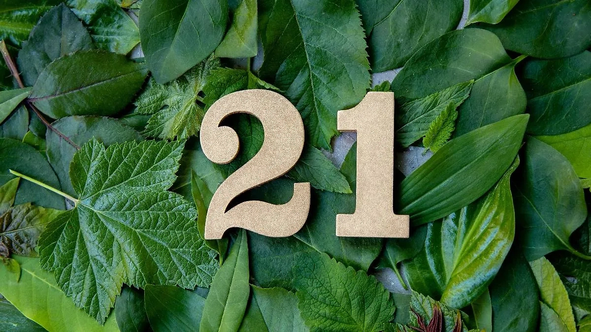 Фото © Shutterstock / FOTODOM / Ri6ka