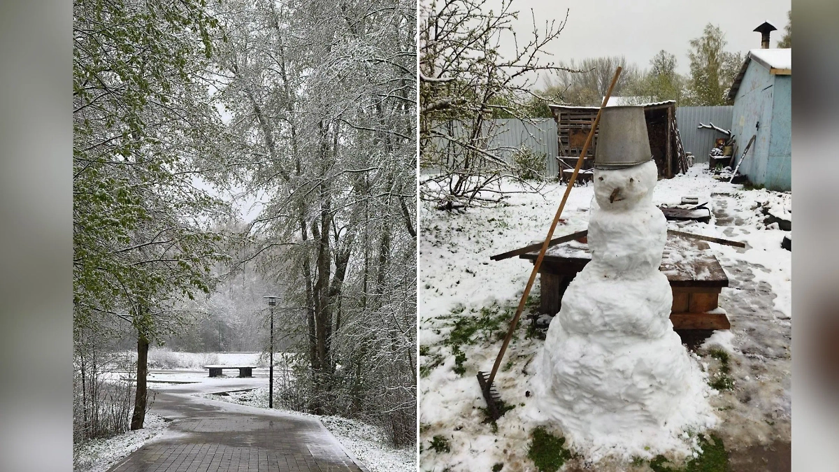 Первомайский снеговик. Фото © Telegram / Некрасовка Новости