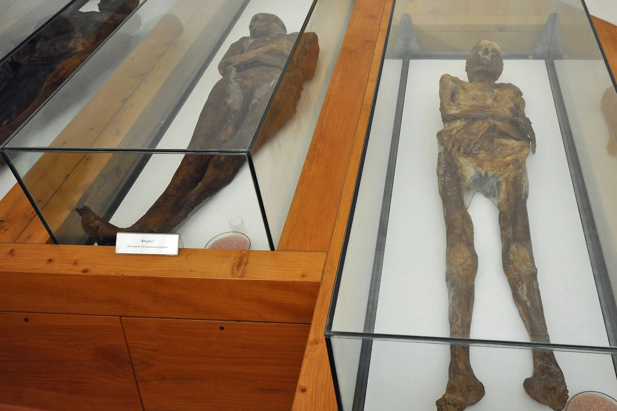 Мумии не вечны. Сложно в это поверить, зная, насколько хорошо сохранилось тело Тутанхамона, но это факт. Фото © Wikipedia / Жан-Марк Пасколо