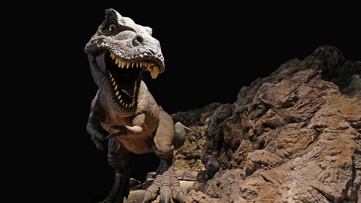 Могли ли древние люди сражаться с динозаврами: отвечают палеонтологи. Фото © Shutterstock / FOTODOM / SAHACHATZ