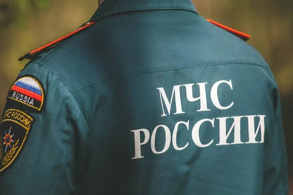 Заморозки в мае: официальная информация от МЧС России. Фото © Shutterstock / FOTODOM / Dizzy_Studio