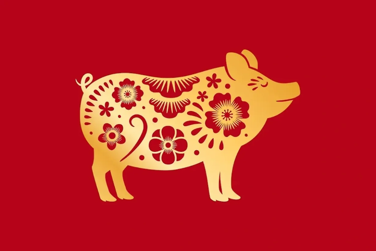 Китайский гороскоп на июнь 2025: что ждёт Свинью. Фото © Shutterstock / FOTODOM / StockSmartStart
