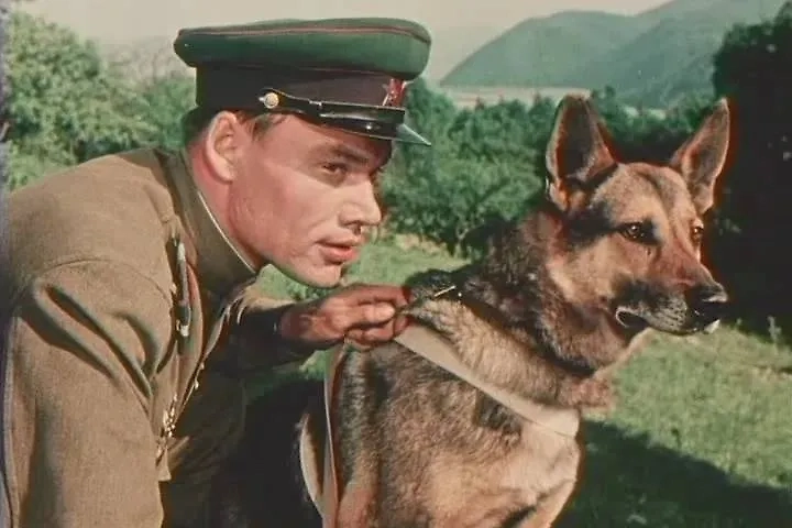 День пограничника 2025: какие советские фильмы посмотреть о защитниках границ. Фото © Кадр из фильма «Над Тиссой», режиссёр Дмитрий Васильев / Kino-teatr