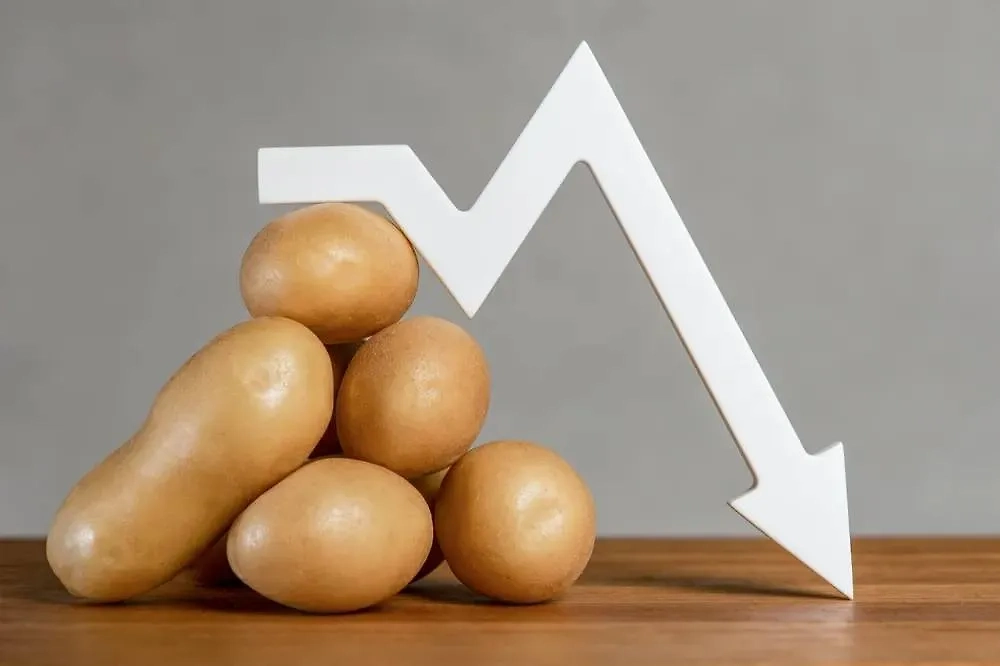 Производители картофеля в России резко сократили посевные площади, что привело к дефициту. Фото © Shutterstock / FOTODOM / SERSOLL