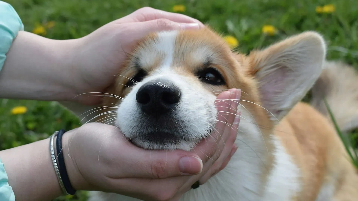 Фото © Unsplash / Michal Mikulec