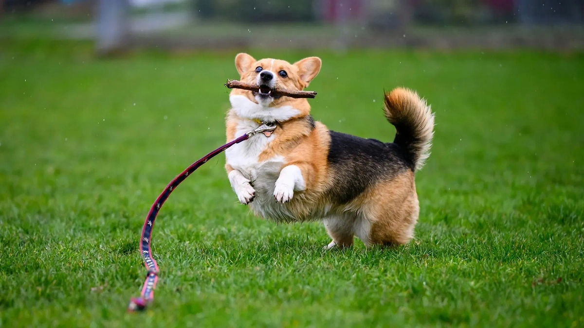 Фото © Unsplash / Vlad D