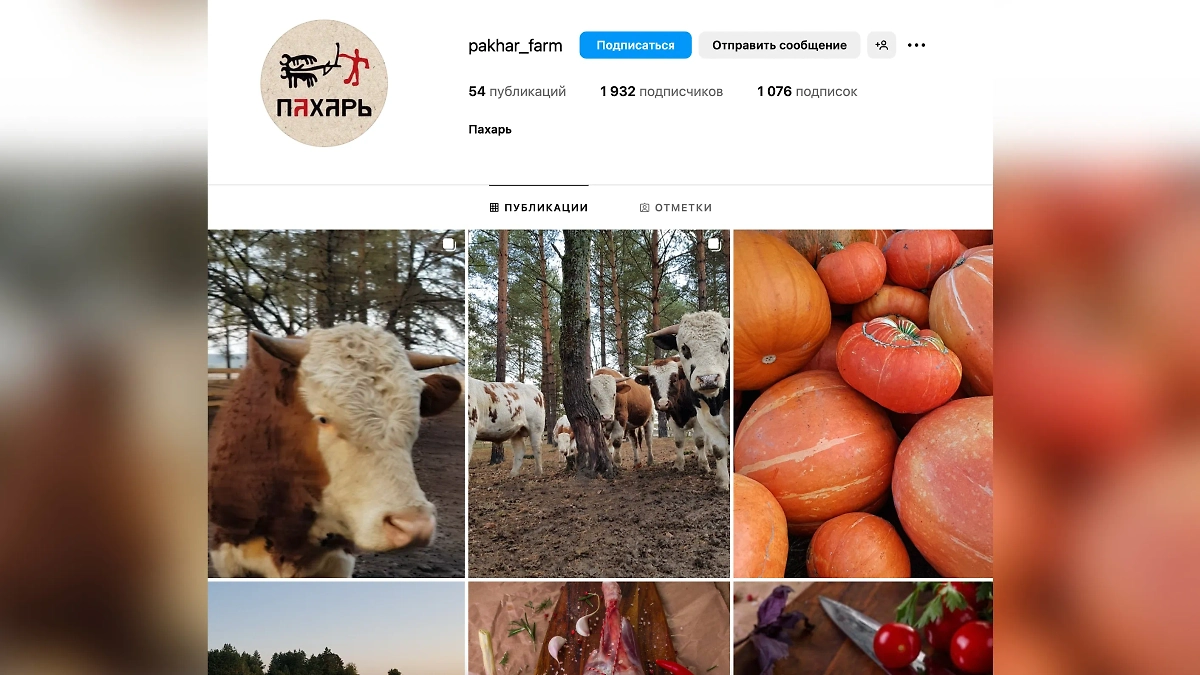 Заброшенные соцсети фермы «Пахарь» Филиппа Бегака. Фото © Instagram (признан экстремистской организацией и запрещён на территории Российской Федерации) / pakhar_farm