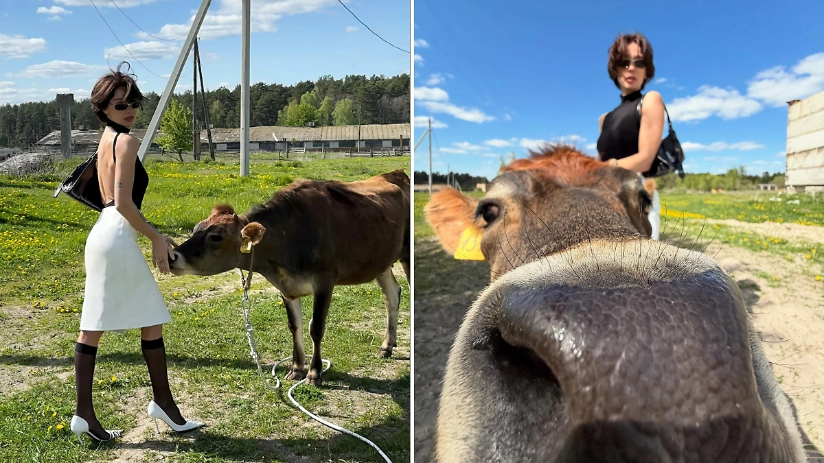Фотосессия Насти Ивлеевой на ферме с телятами. Фото © Instagram (признан экстремистской организацией и запрещён на территории Российской Федерации) / nastyaivleeva