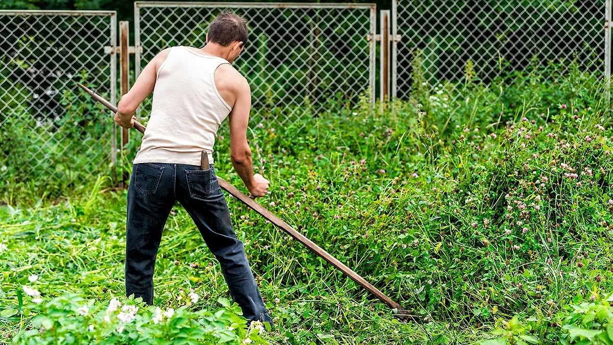 День Тимофея Грядочника лучше провести на огороде, так уж заведено. Фото © Shutterstock / FOTODOM / Kristi Blokhin