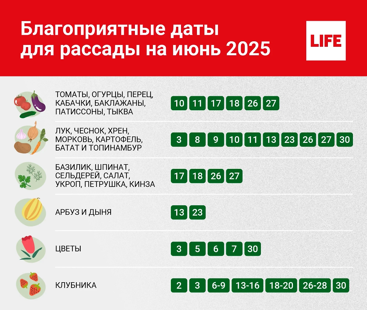 Что и когда сажать в июне 2025? Хороший вопрос, по лунному посевному календарю сажать можно в принципе всё. Инфографика © Life.ru.