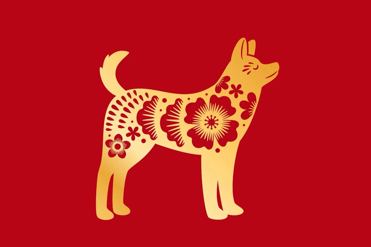 Китайский гороскоп на июнь 2025: что ждёт Собаку. Фото © Shutterstock / FOTODOM / StockSmartStart 