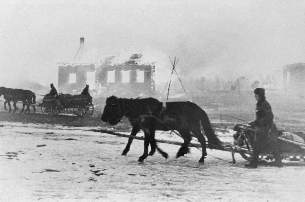 Лошади — главные работяги блокадного Ленинграда. Фото © ТАСС / Репродукция ТАСС