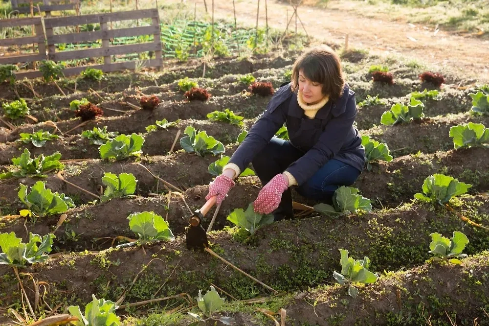 Какие опасные болезни чаще встречаются у дачников? Фото © Shutterstock / FOTODOM / BearFotos