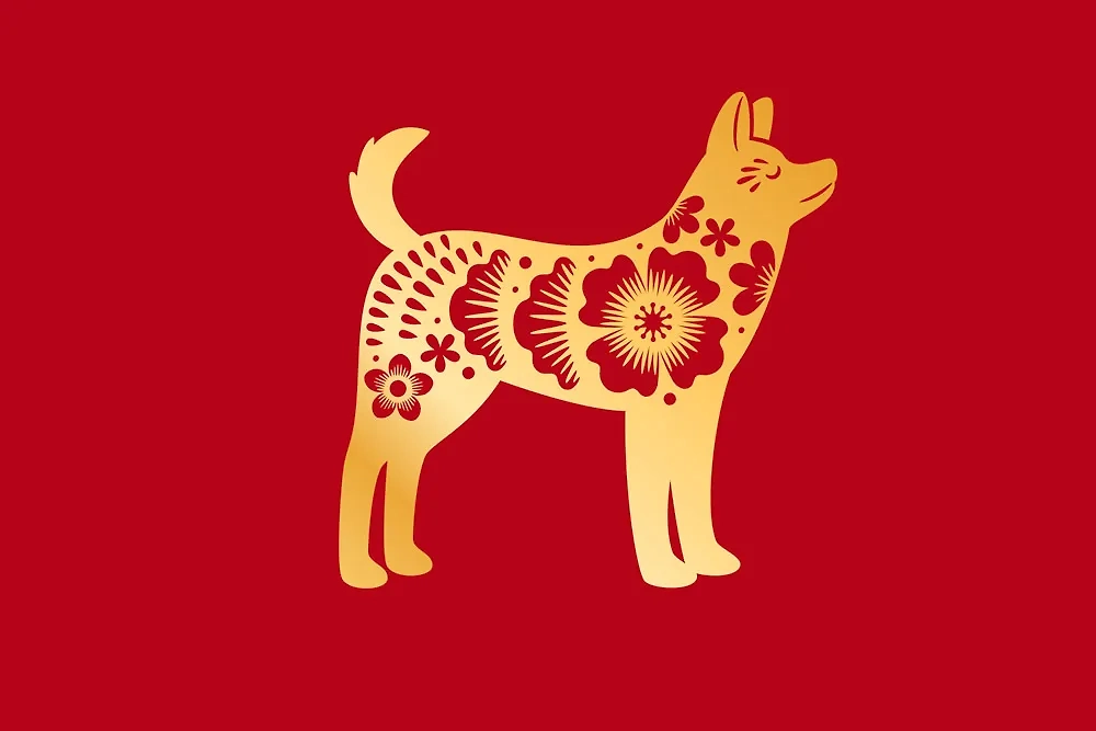 Цвета удачи по восточному календарю на май 2025 года. Фото © Shutterstock / FOTODOM / StockSmartStart