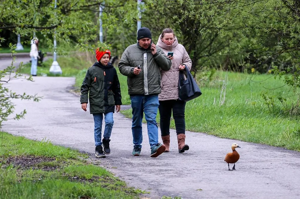 Прохладная погода сохранится в Москве до середины мая. Фото © ТАСС / Михаил Синицын