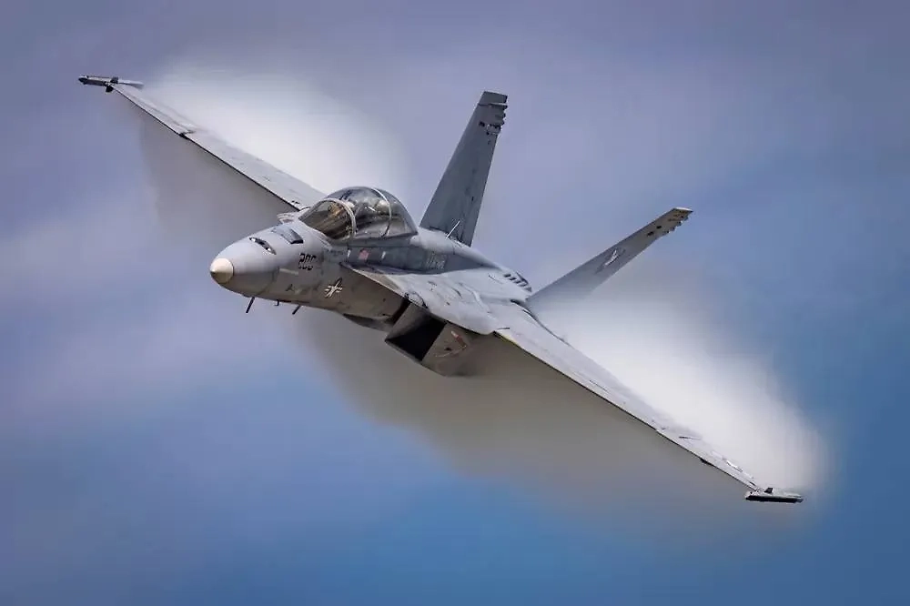Истребители-бомбардировщики F/A-18 Hornet. Фото © Shutterstock / FOTODOM / BlueBarronPhoto