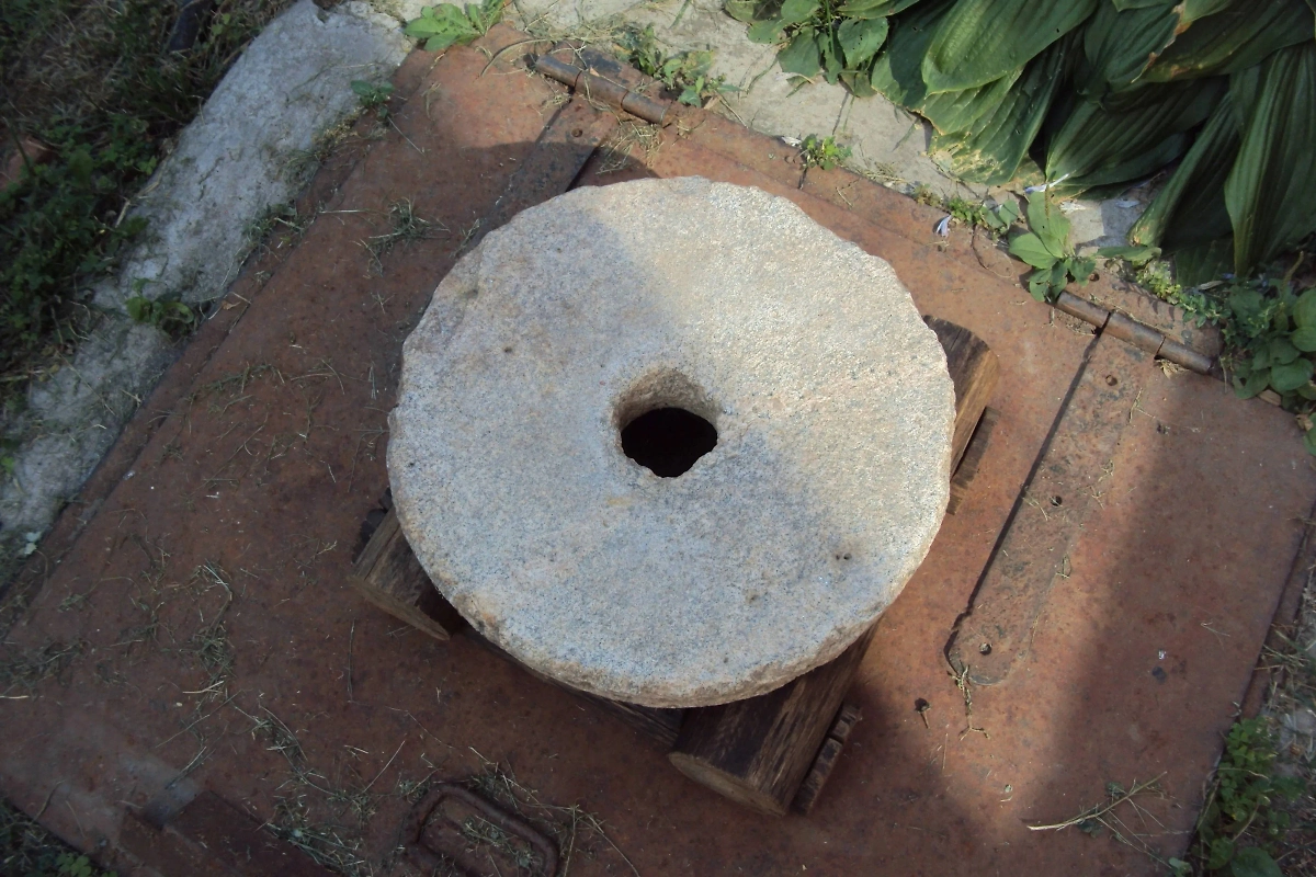 Любите хлеб? Скажите спасибо неандертальцам! Они придумали технологию, которая позволила нам делать муку. Фото © Wikipedia / Wikijetstr