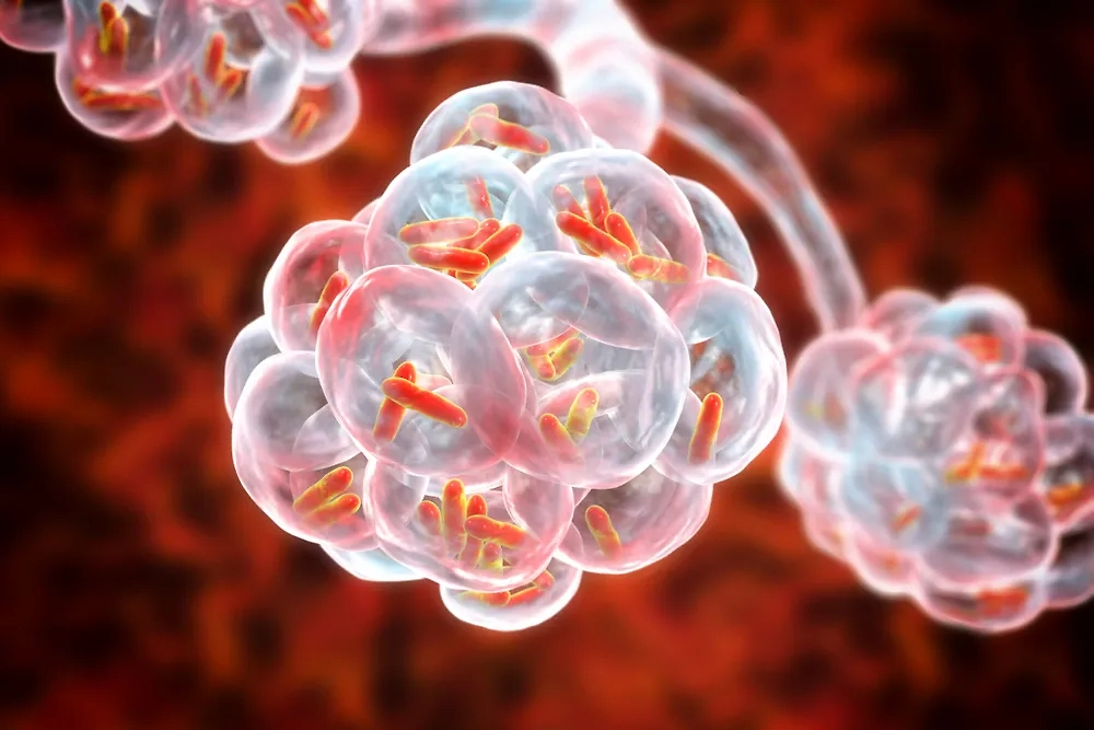 Коклюшная палочка. Фото © Shutterstock / FOTODOM / Kateryna Kon