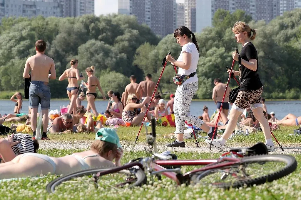 Горожане отдыхают на территории Серебярного Бора. Фото © ТАСС / Сергей Карпухин