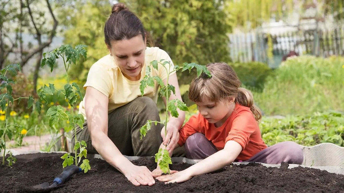 Полнолуние в июле — это одновременно и самый благодатный для посадки растений день. Фото © Shutterstock / FOTODOM / Ulza