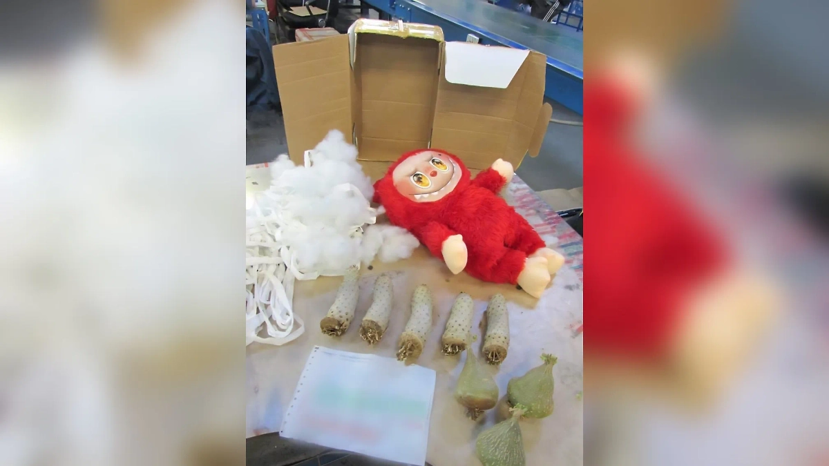 В Москве сотрудники таможни нашли черенки кактусов в игрушке Лабубу. Фото © ФТС России