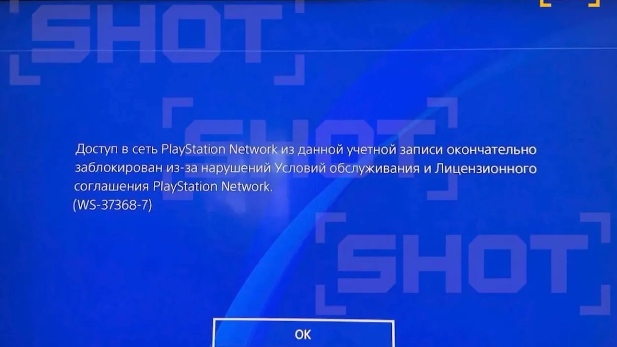 Фотот © Telegram/ SHOT