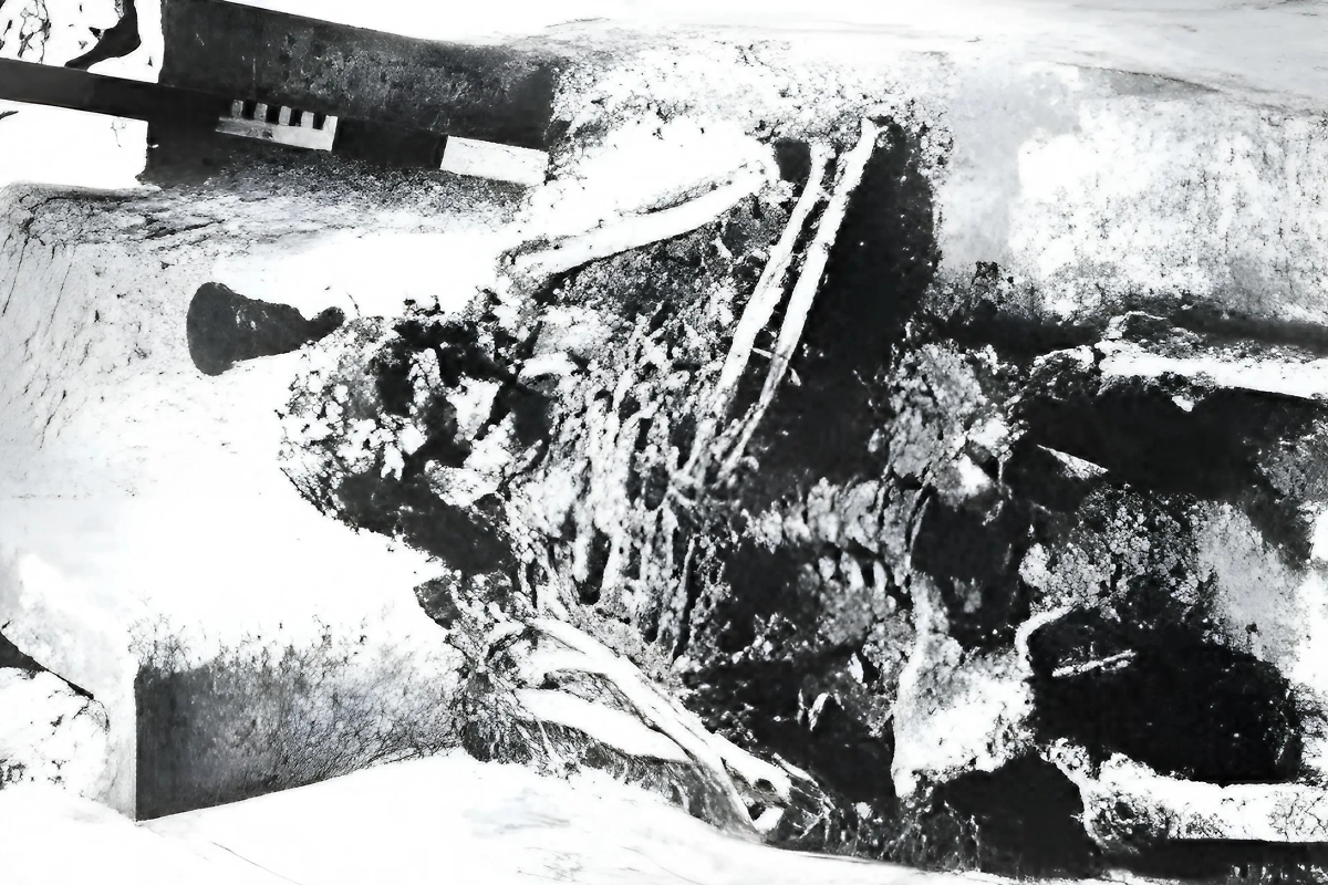 Фото © YouTube / Nikolas Sarkozy