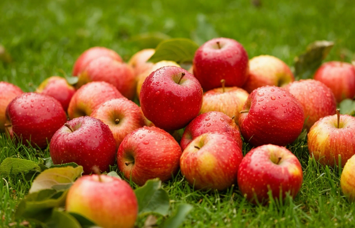 Яблочный Спас в 2025 году — это одновременно церковный и народный праздник. Но Церковь его называет по-другому. Фото © «Шедеврум»