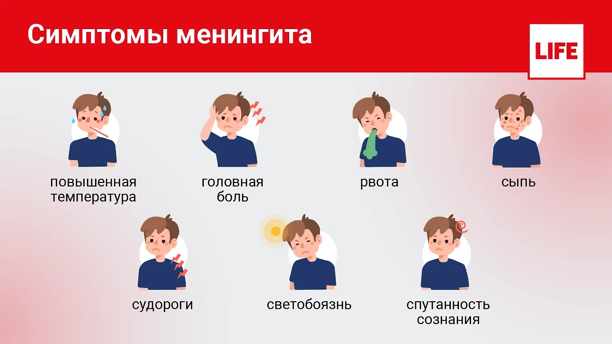 Симптомы менингита. Инфографика © Life.ru