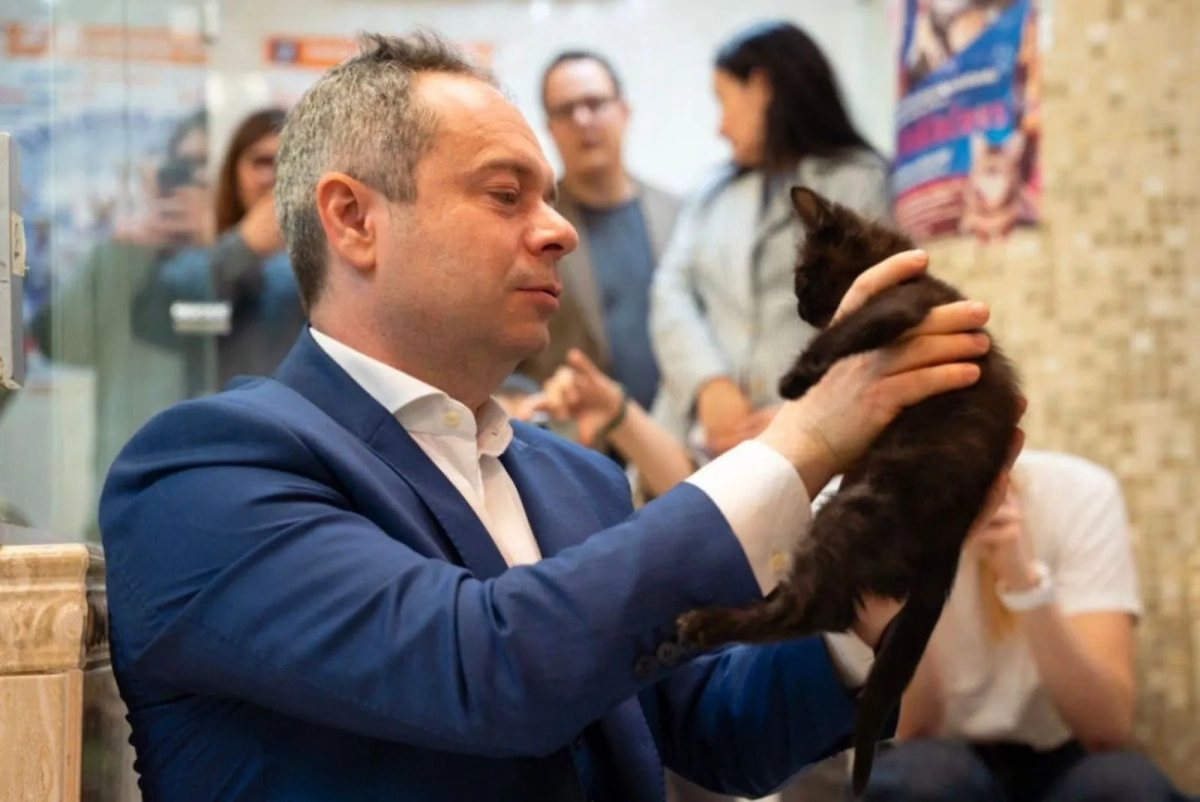 Спасённый из зоны спецоперации кот. Фото © Пресс-служба Департамента культуры города Москвы