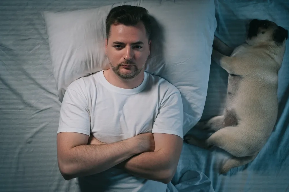 Фото © Shutterstock / FOTODOM / ZaitsevMaksym