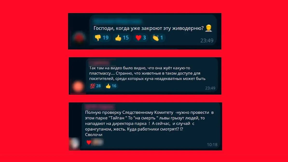 Комментарии под новостью о курящей обезьяне в парке «Тайган» в телеграм-канале SHOT. Фото © Telegram / SHOT