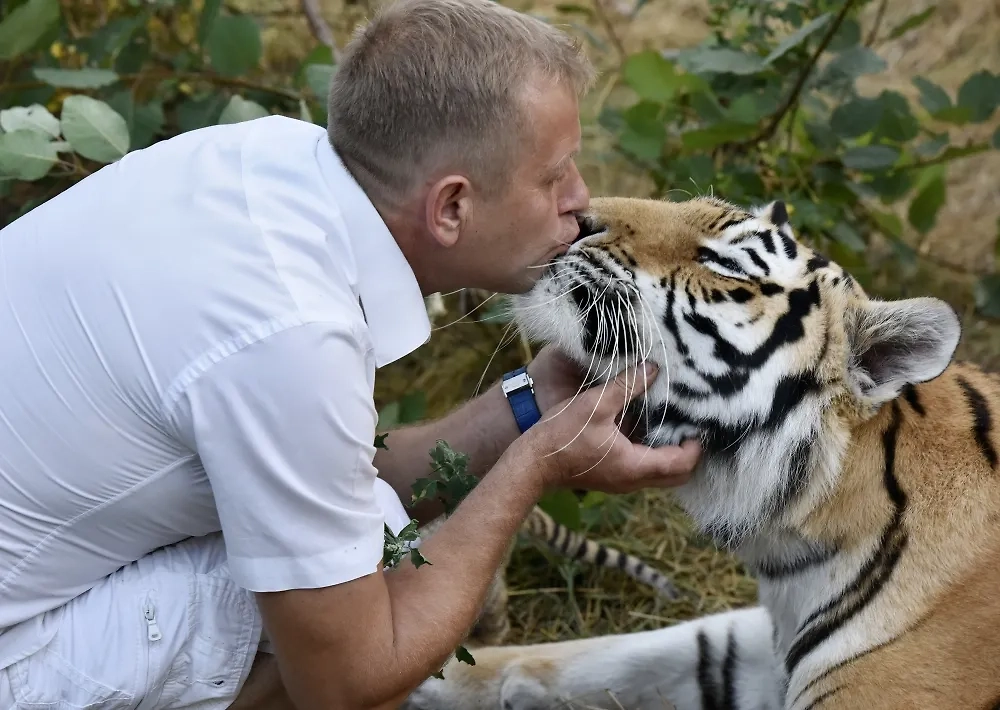 Олег Зубков. Фото © РИА Новости / Александр Полегенько