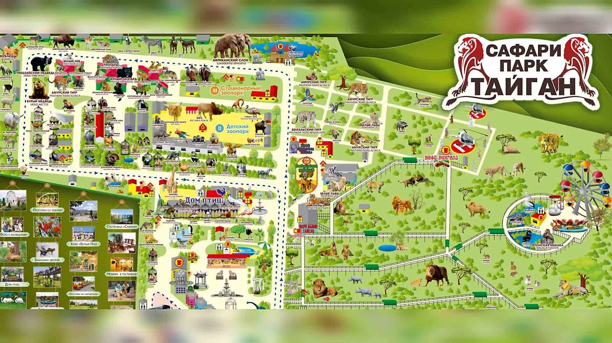 Фото © park-taigan.ru