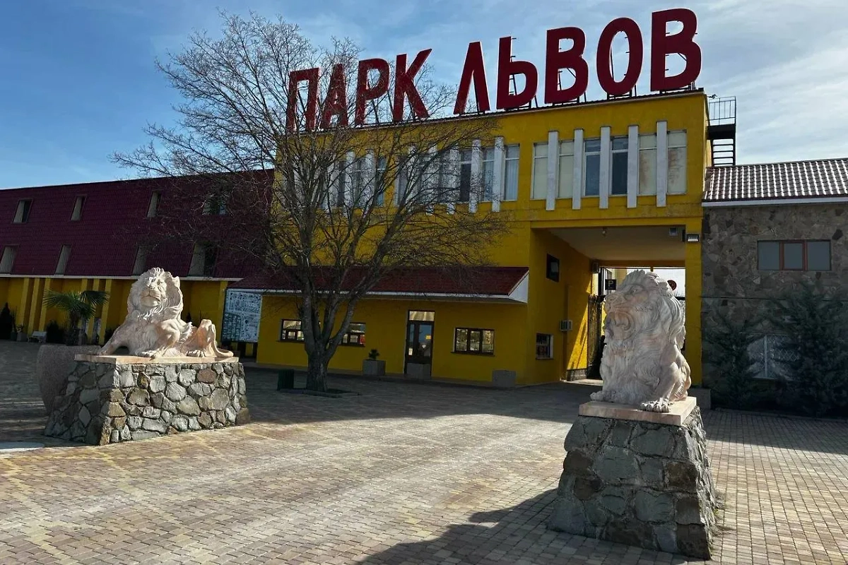  Парк львов «Тайган». Фото © yandex.eu