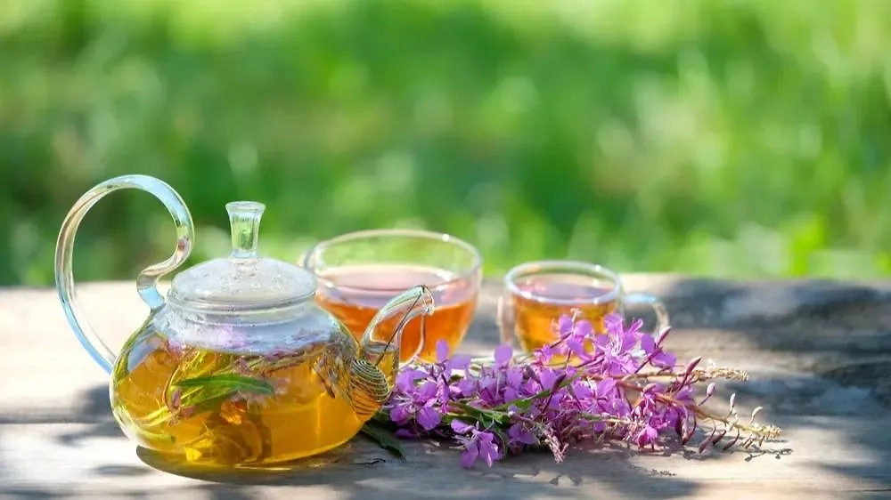 Травы для здоровья на Ивана Купалу: научные факты о пользе купальских растений. Фото © Shutterstock / FOTODOM / ju_see