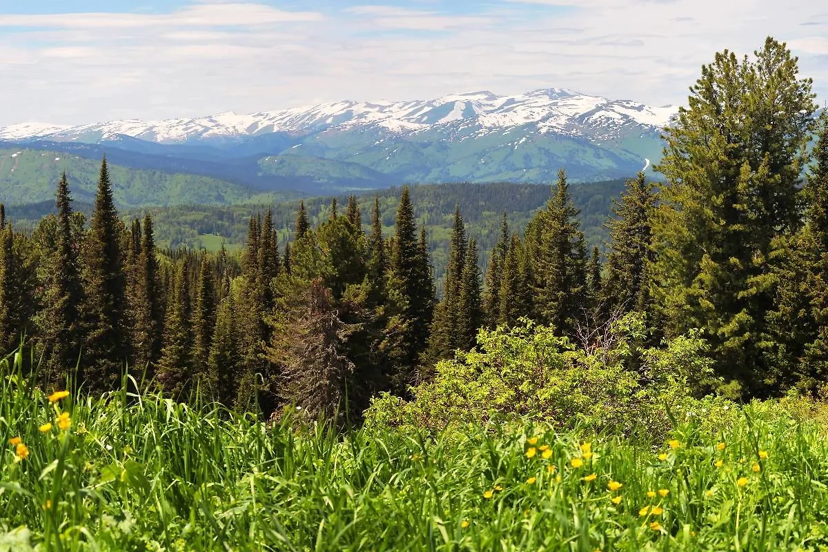 Алтай славится своей природой. Фото © Shutterstock / FOTODOM / Valerii_M