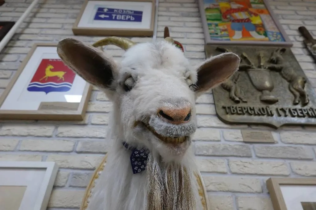 Музей козла в Твери. Фото © ТАСС / Алексей Зотов