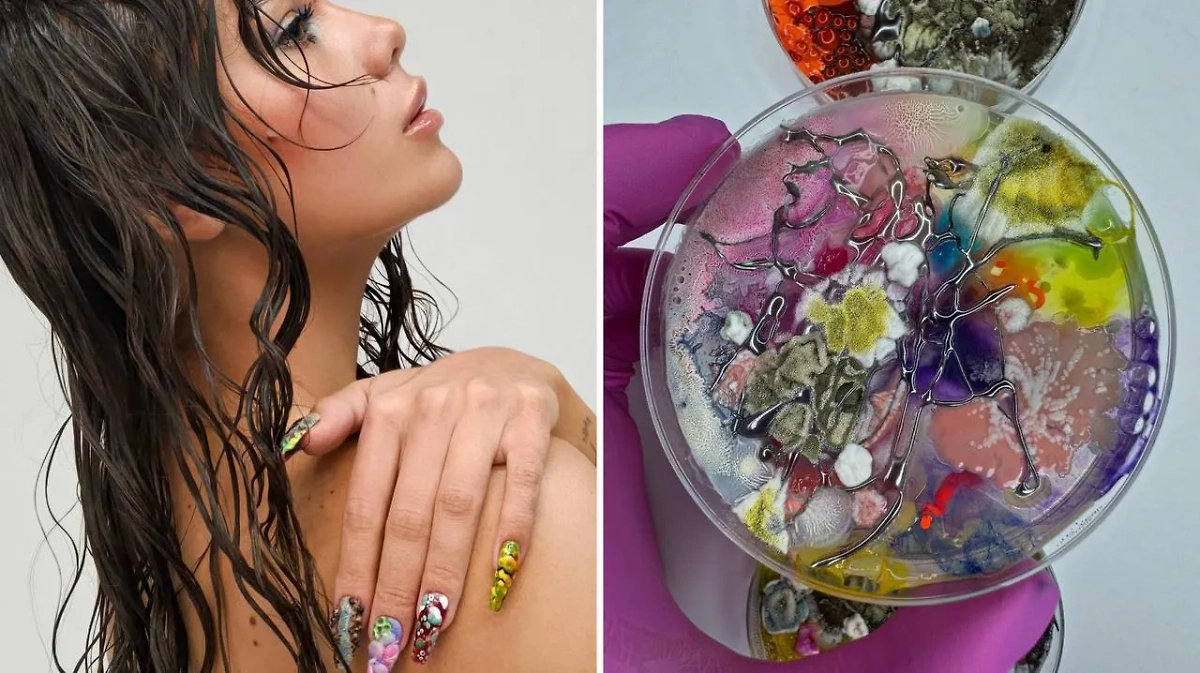 Фото © Instagram (признан экстремистской организацией и запрещён на территории Российской Федерации) / dashaplesen