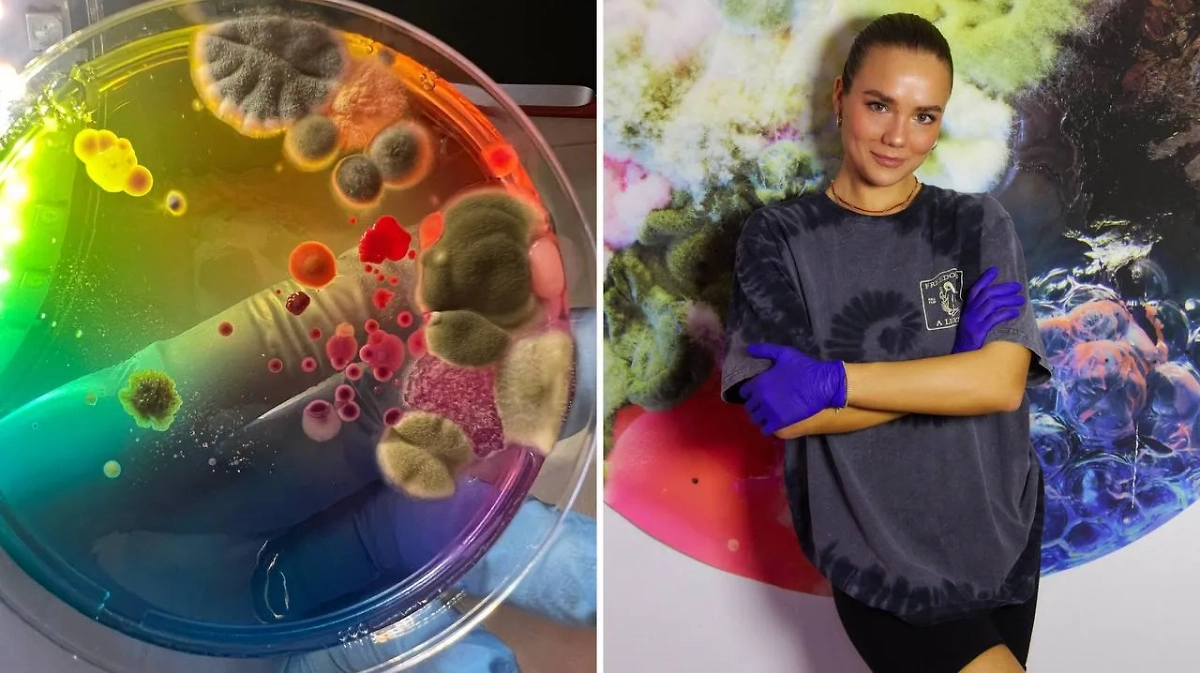 Фото © Instagram (признан экстремистской организацией и запрещён на территории Российской Федерации) / dashaplesen