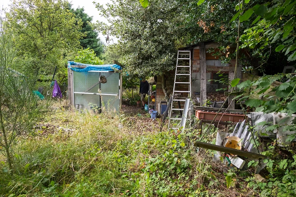 О чём расскажет ваш садовый участок: скрытые комплексы дачников. Фото © Shutterstock / FOTODOM / Multishooter