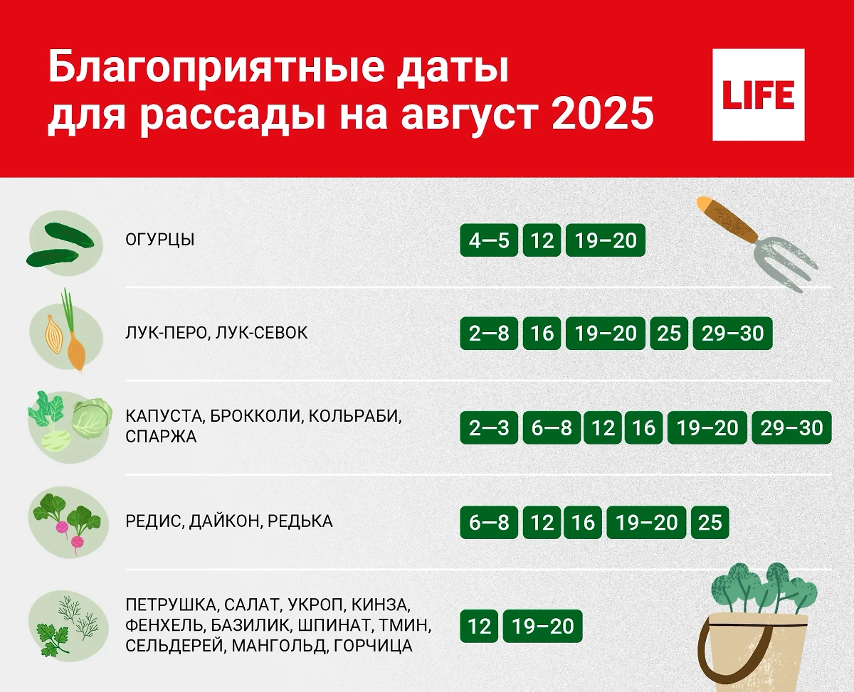 Посевной лунный календарь огородника и садовода определяет благоприятные дни для посадки разных культур. Инфографика © Life.ru