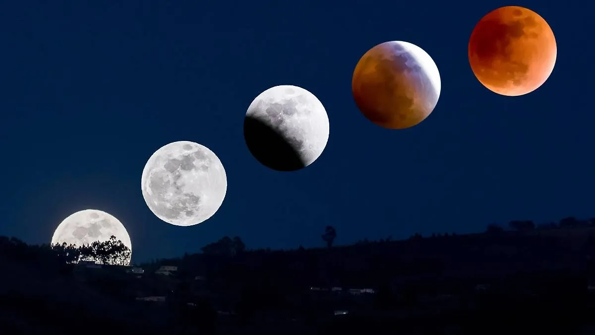 Посевной календарь на август 2025 пересекается с лунным календарём на август 2025. Фото © Shutterstock / FOTODOM / Fotos593