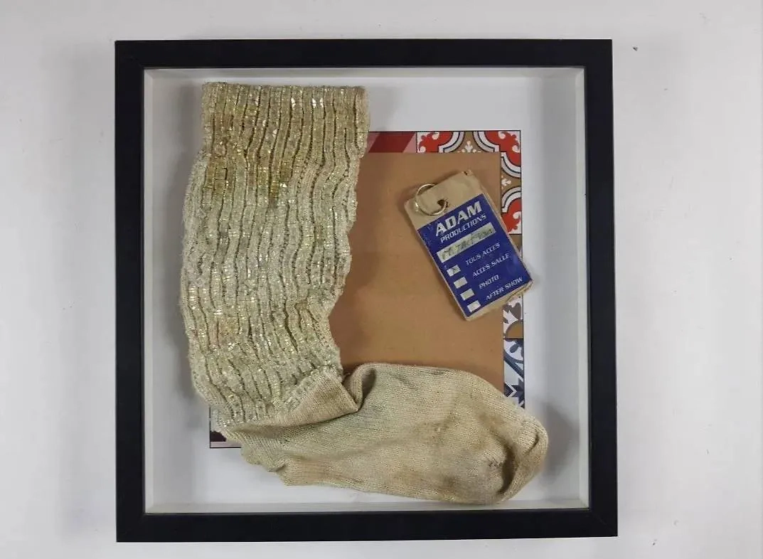 Носок Майкла Джексона. Обложка © Instagram (признан экстремистской организацией и запрещён на территории Российской Федерации)/ Interencheres