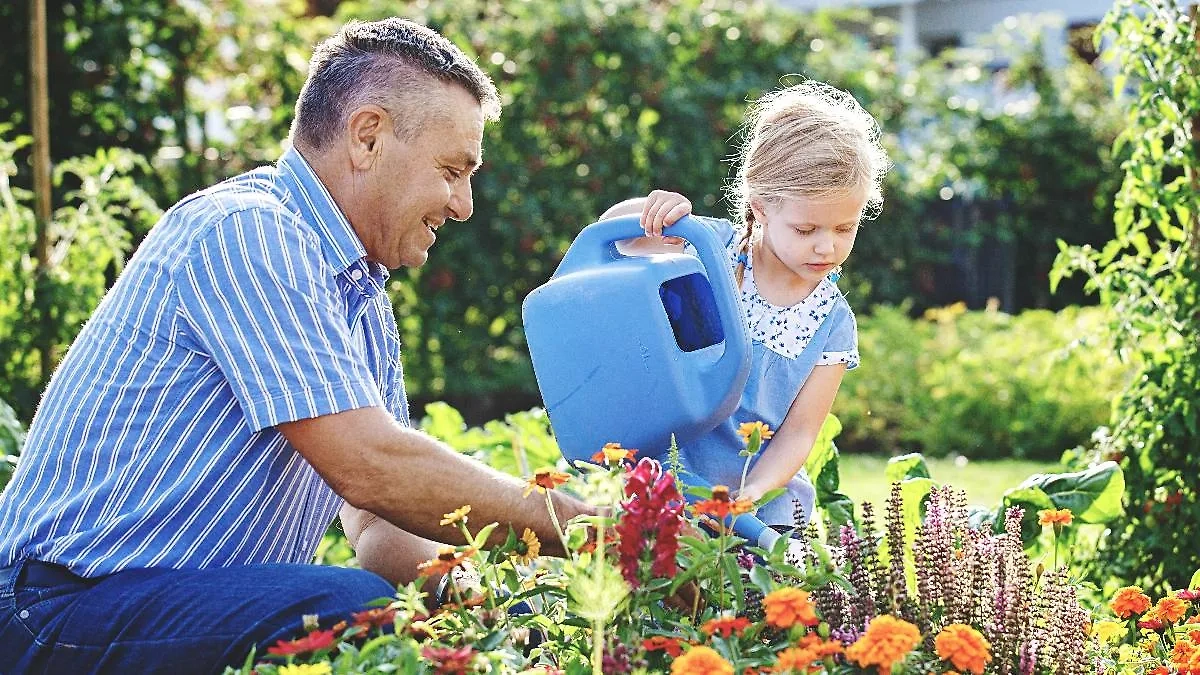 Календарь садовода и огородника на август 2025 — как работать в саду? Фото © Shutterstock / FOTODOM / Dragan Grkic