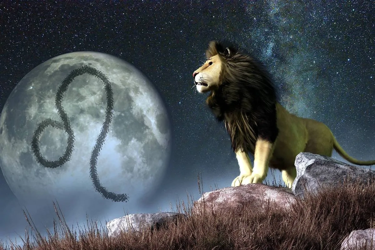 Фото © Shutterstock / FOTODOM / Daniel Eskridge